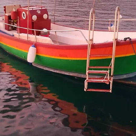 Dolphins Tour Trinacria Escursioni Botel